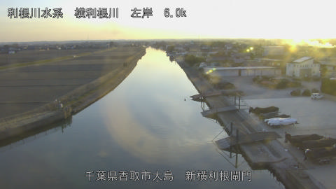 yoko2026020417_image