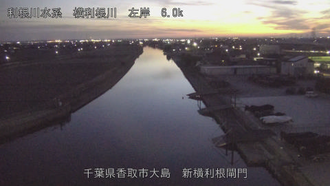 yoko2026020418_image