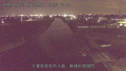 yoko2026020419_image