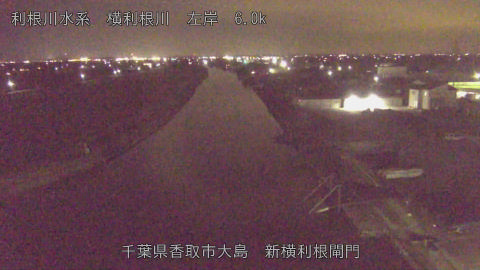 yoko2026020420_image