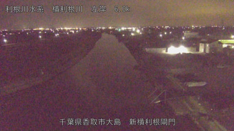 yoko2026020421_image