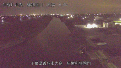 yoko2026020423_image