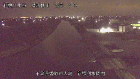 yoko2026020500_image