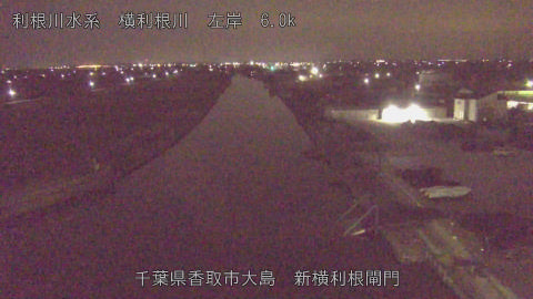 yoko2026020501_image