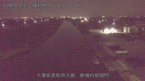 yoko2026020502_image