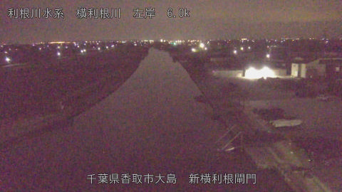 yoko2026020504_image