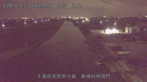 yoko2026020505_image