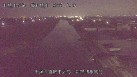 yoko2026020506_image