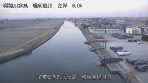 yoko2026020507_image