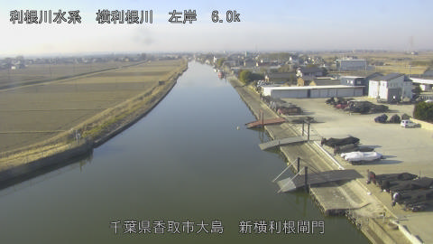 yoko2026020509_image