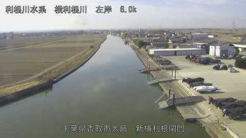 yoko2026020510_image