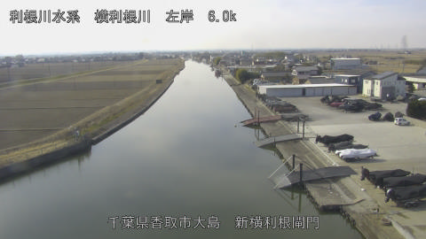 yoko2026020511_image