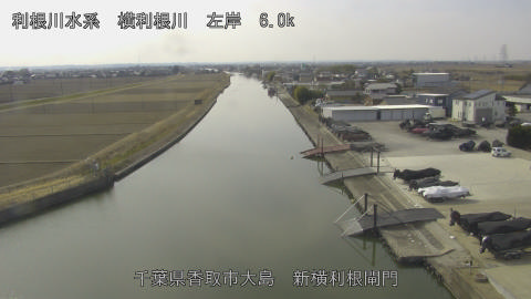 yoko2026020512_image