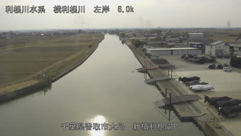 yoko2026020514_image