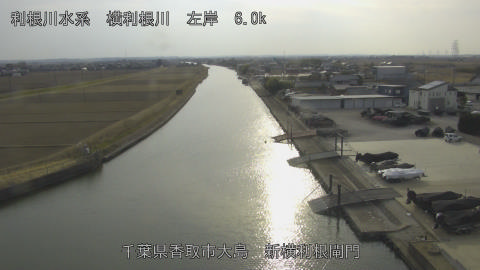 yoko2026020515_image