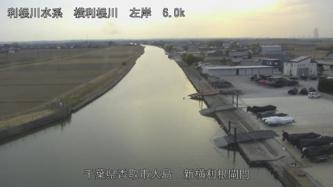 yoko2026020516_image