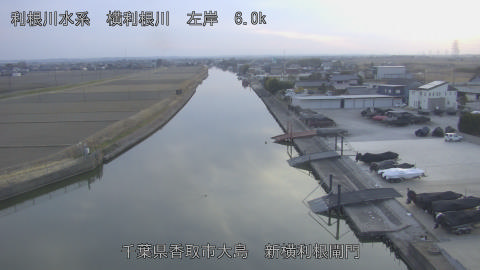 yoko2026020517_image