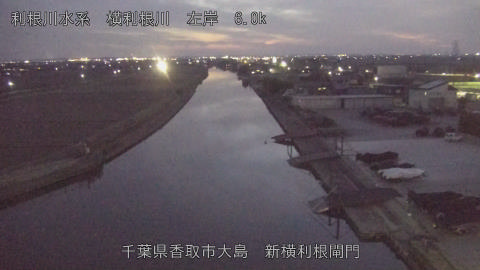 yoko2026020518_image