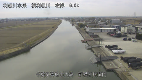 yoko2026020612_image