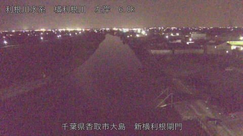 yoko2026020619_image