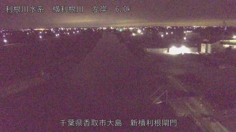 yoko2026020701_image