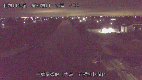 yoko2026020702_image