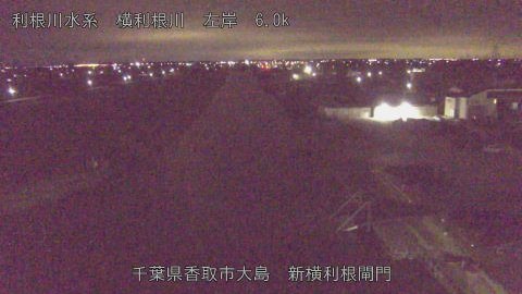 yoko2026020704_image