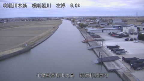 yoko2026020707_image