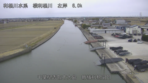 yoko2026020708_image