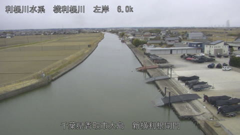 yoko2026020709_image