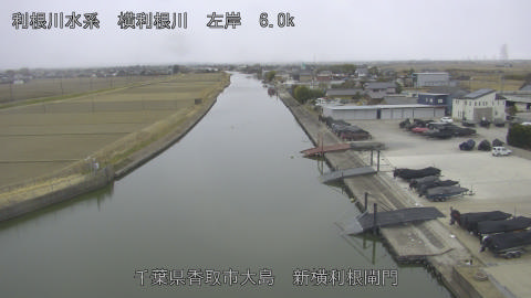 yoko2026020710_image