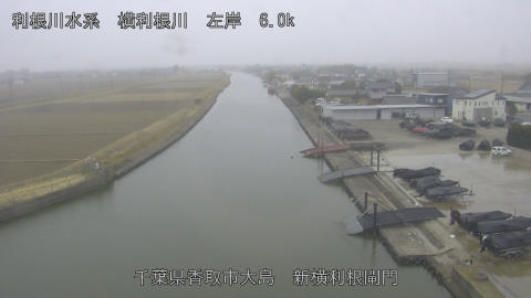 yoko2026020711_image