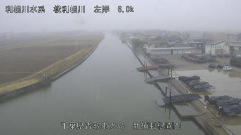 yoko2026020714_image