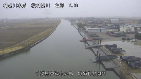 yoko2026020715_image