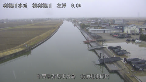 yoko2026020716_image