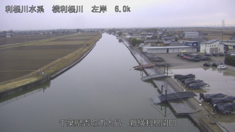 yoko2026020717_image