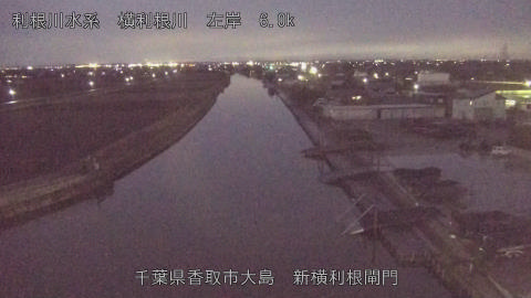 yoko2026020718_image