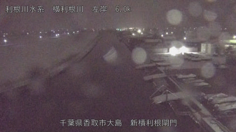 yoko2026020801_image