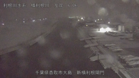 yoko2026020802_image