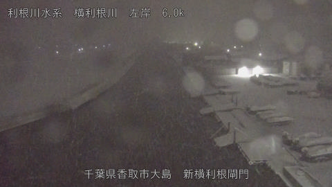 yoko2026020803_image