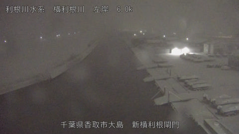 yoko2026020805_image