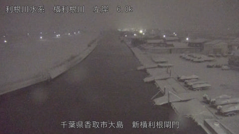 yoko2026020806_image