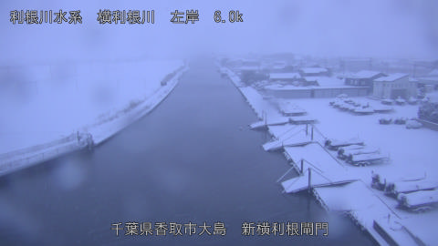 yoko2026020807_image