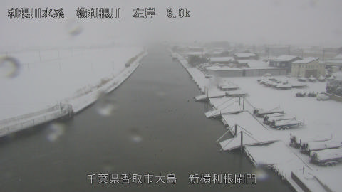 yoko2026020808_image