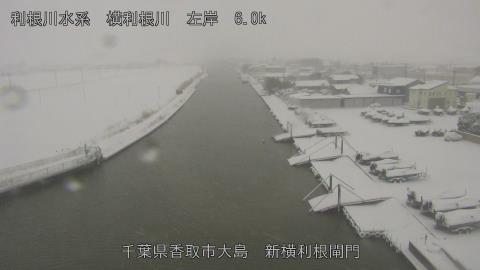 yoko2026020809_image