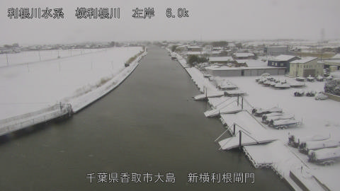 yoko2026020810_image