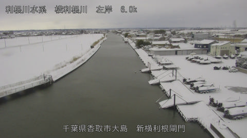 yoko2026020811_image