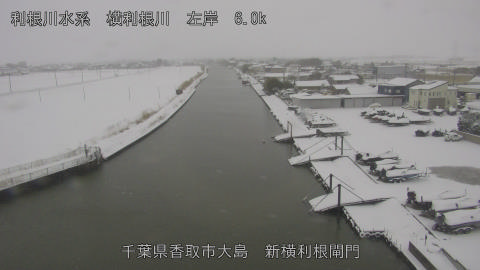 yoko2026020812_image