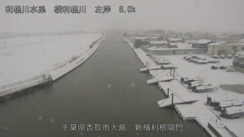 yoko2026020813_image