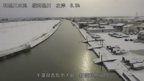 yoko2026020815_image